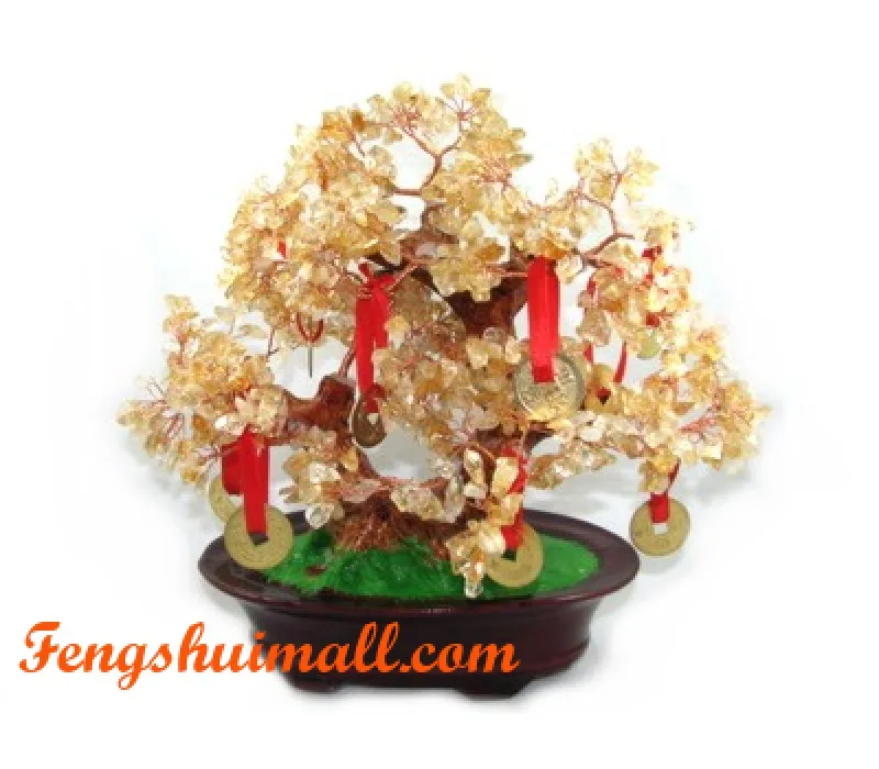 Citrine Crystal Tree with 9 Coins: Buying Guide & Placement Tips