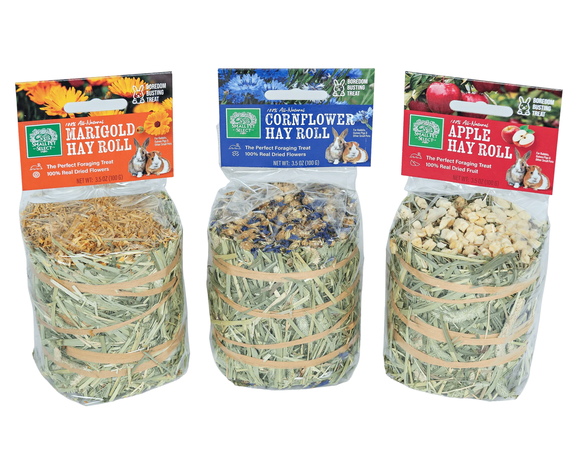 Why Your Small Pet Won't Eat Hay: Causes & Fixes