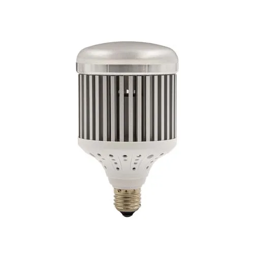 Promaster LED Studio Lamp 30W/5600K E27 - Professional