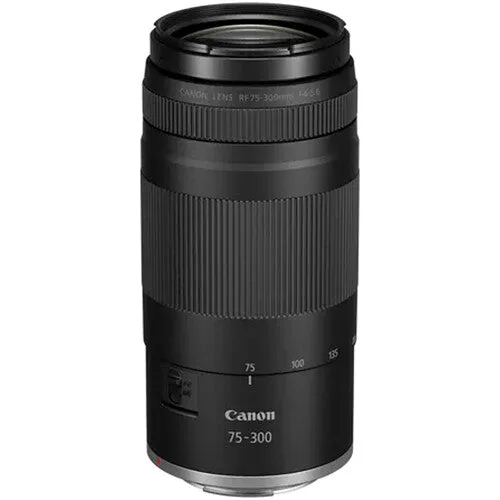 Guia de compra de teleobjetivas: Canon RF 100-500mm explicado