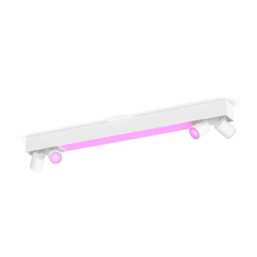 Centris 4-spot ceiling light