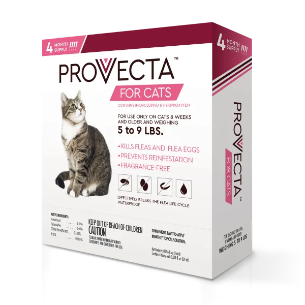 Flea, Tick, and Worm Prevention for Dogs: Interceptor Plus Explained