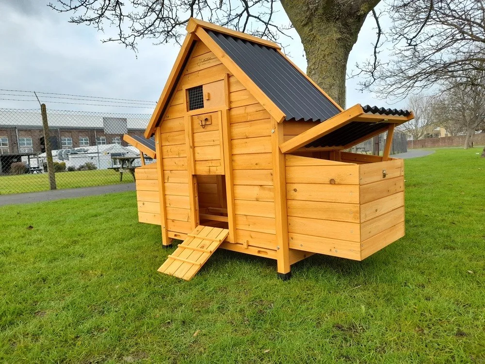Sunshine 4-6 Bird Chicken Coop Setup Tips