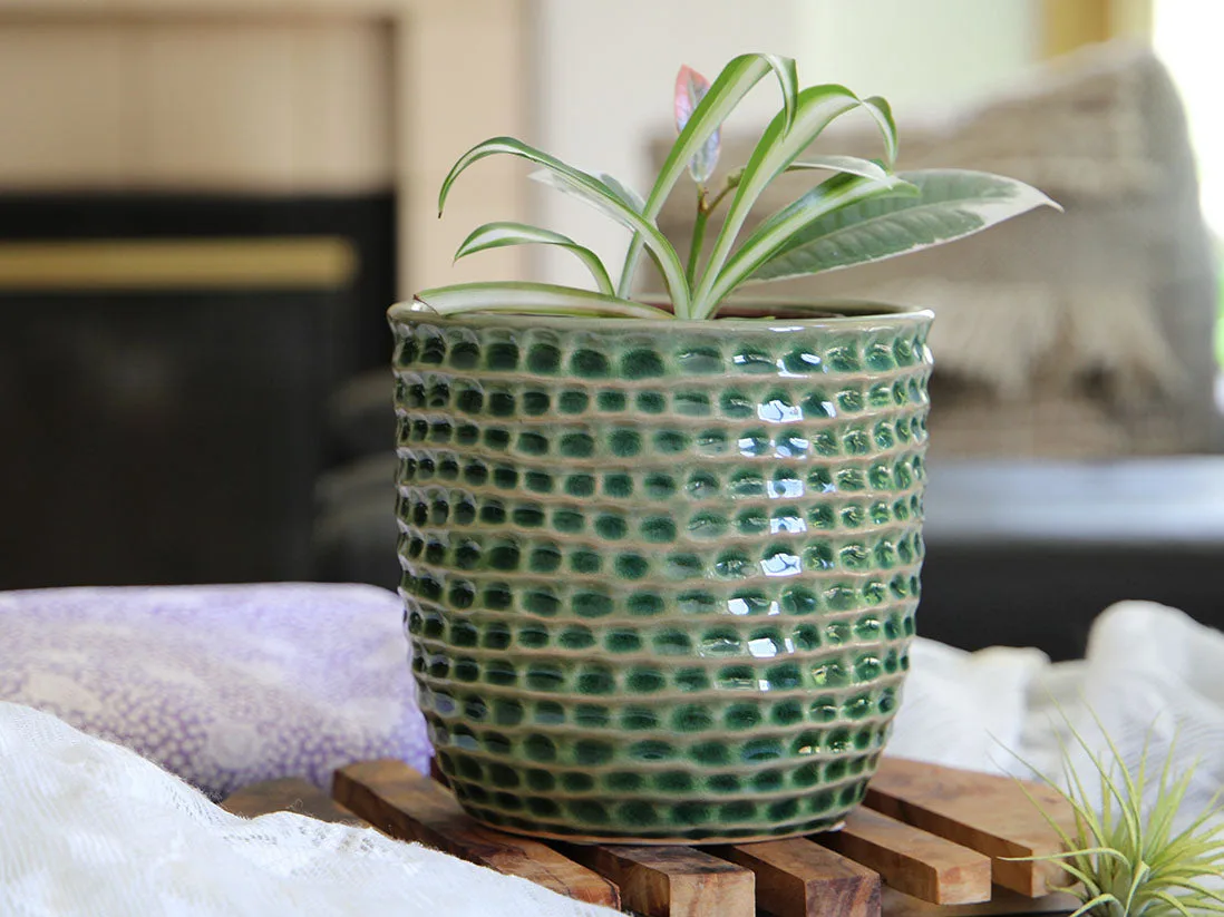 Vaso favo de mel de Plantatorem