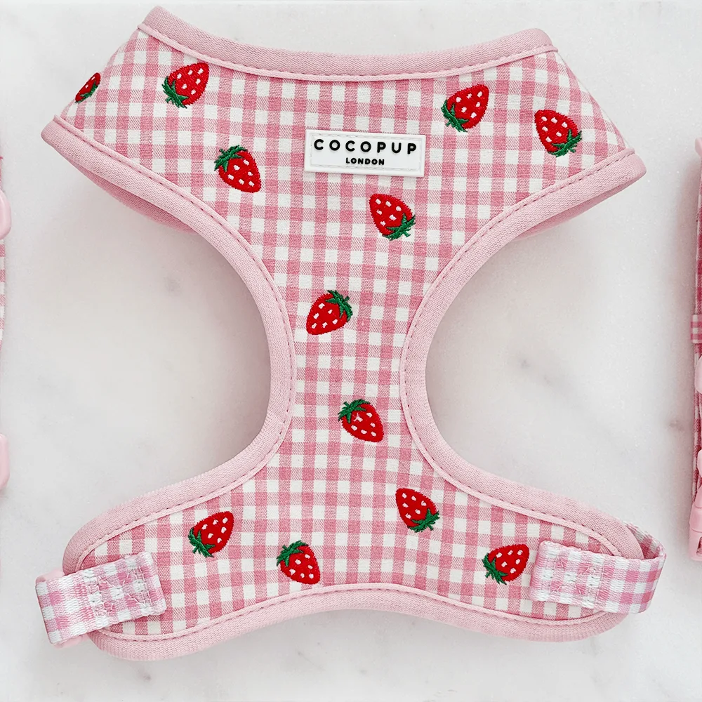 Strawberry Picnic Pup Adjustable Neck HARNESS