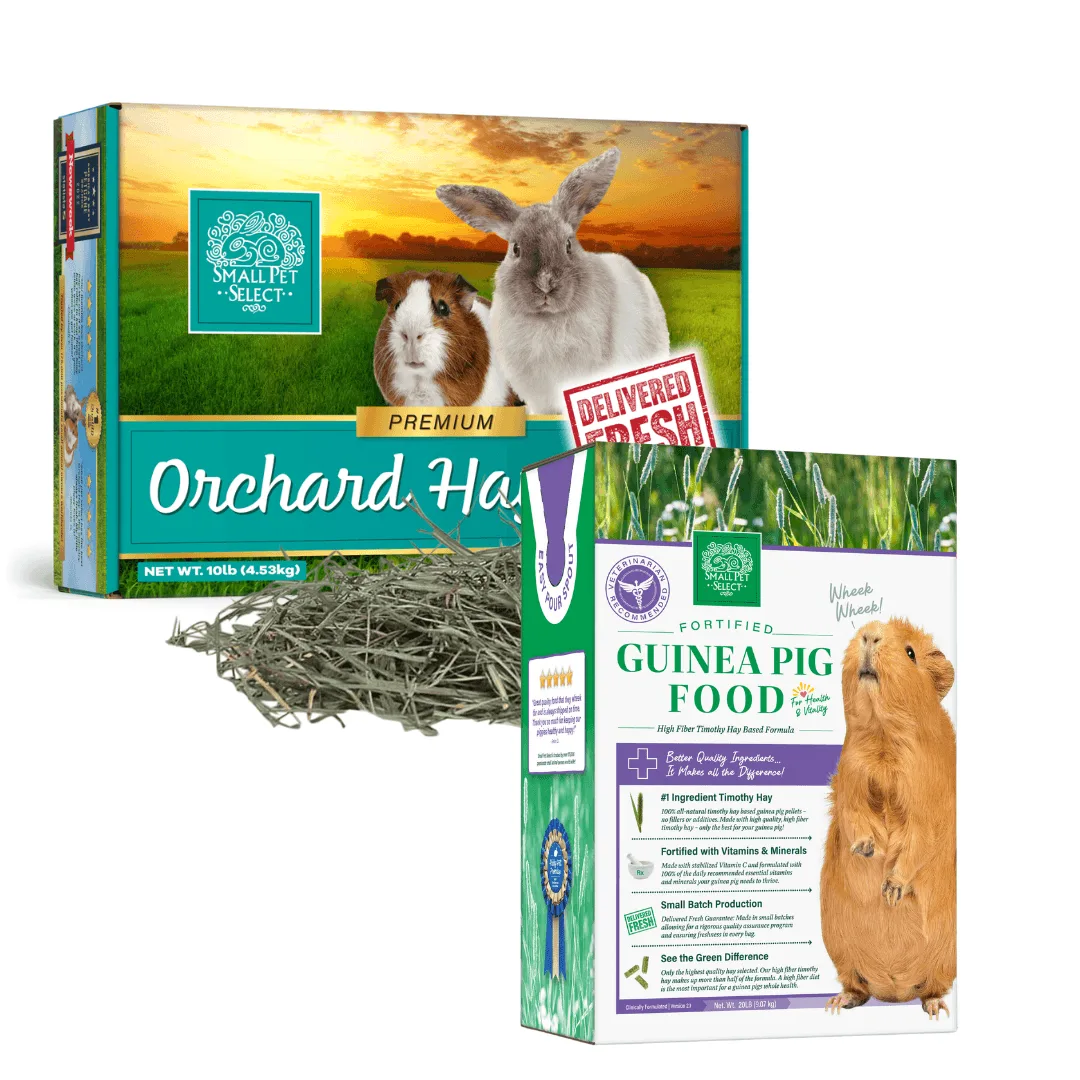 So verwenden Sie das Heu- und Meerschweinchenfutter-Paket für eine ausgewogene Ernährung