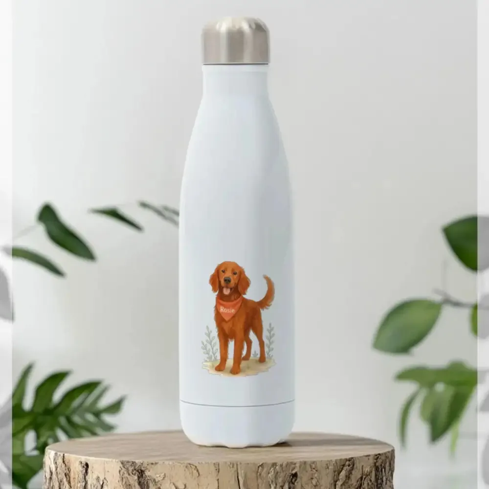 Cómo elegir una botella personalizada para paseos con perro