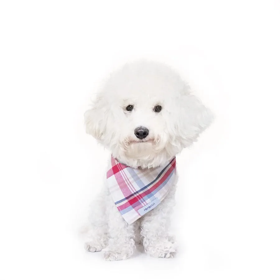 Cardigan vs Sweatshirt: Which Dog Sweater Style Is Best for Your Breed?