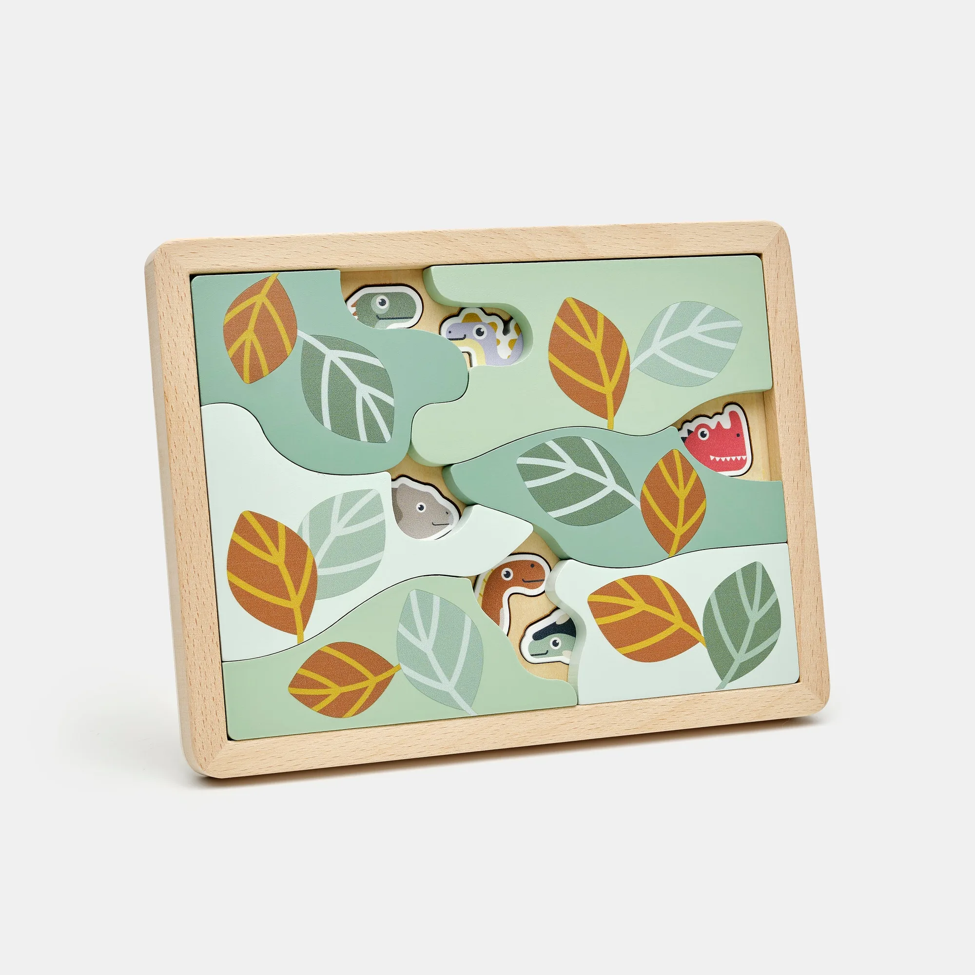 Hidden dinosaurs puzzle