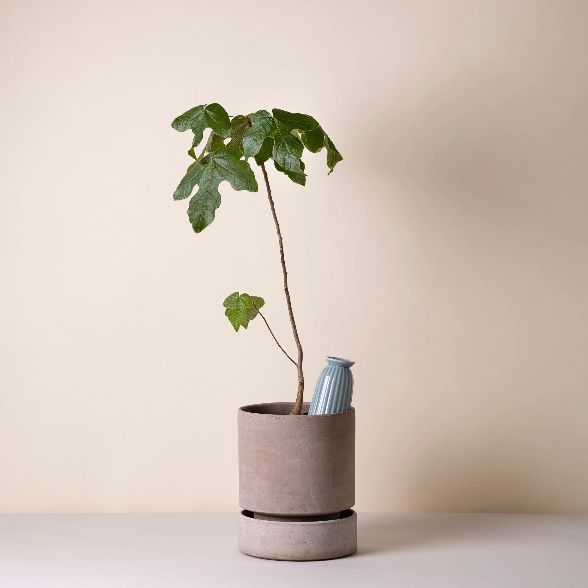 Exclusively at GOODEE: New Arrivals Spotlight – Curated Design Finds