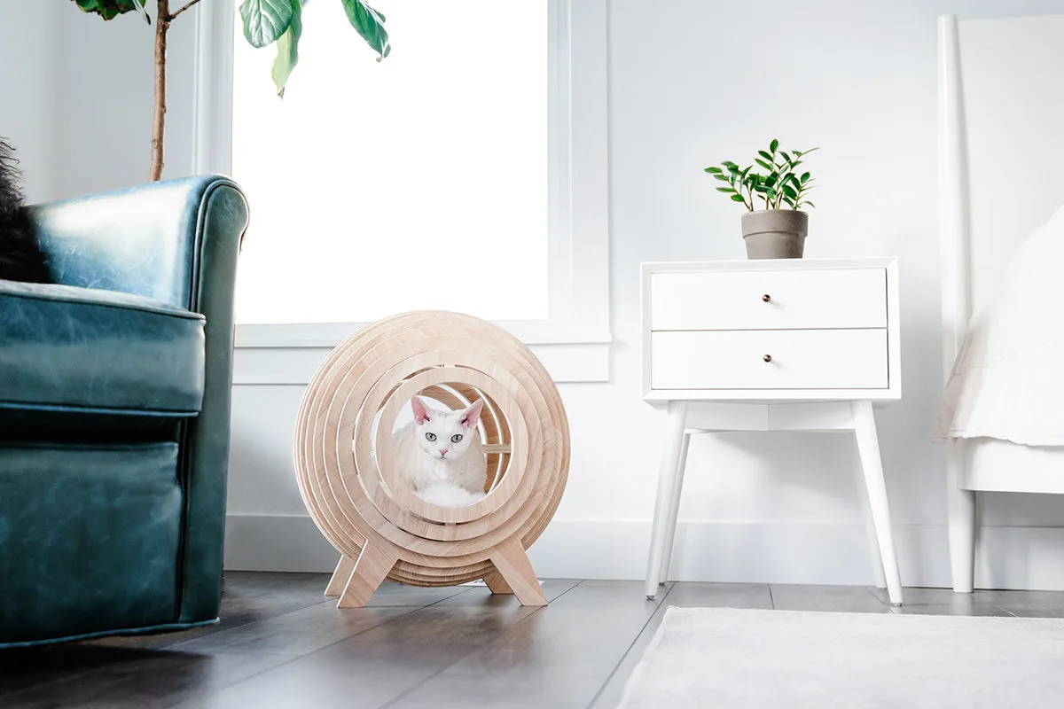 Strato vs. Canvas: Welcher Katzenbaum passt?