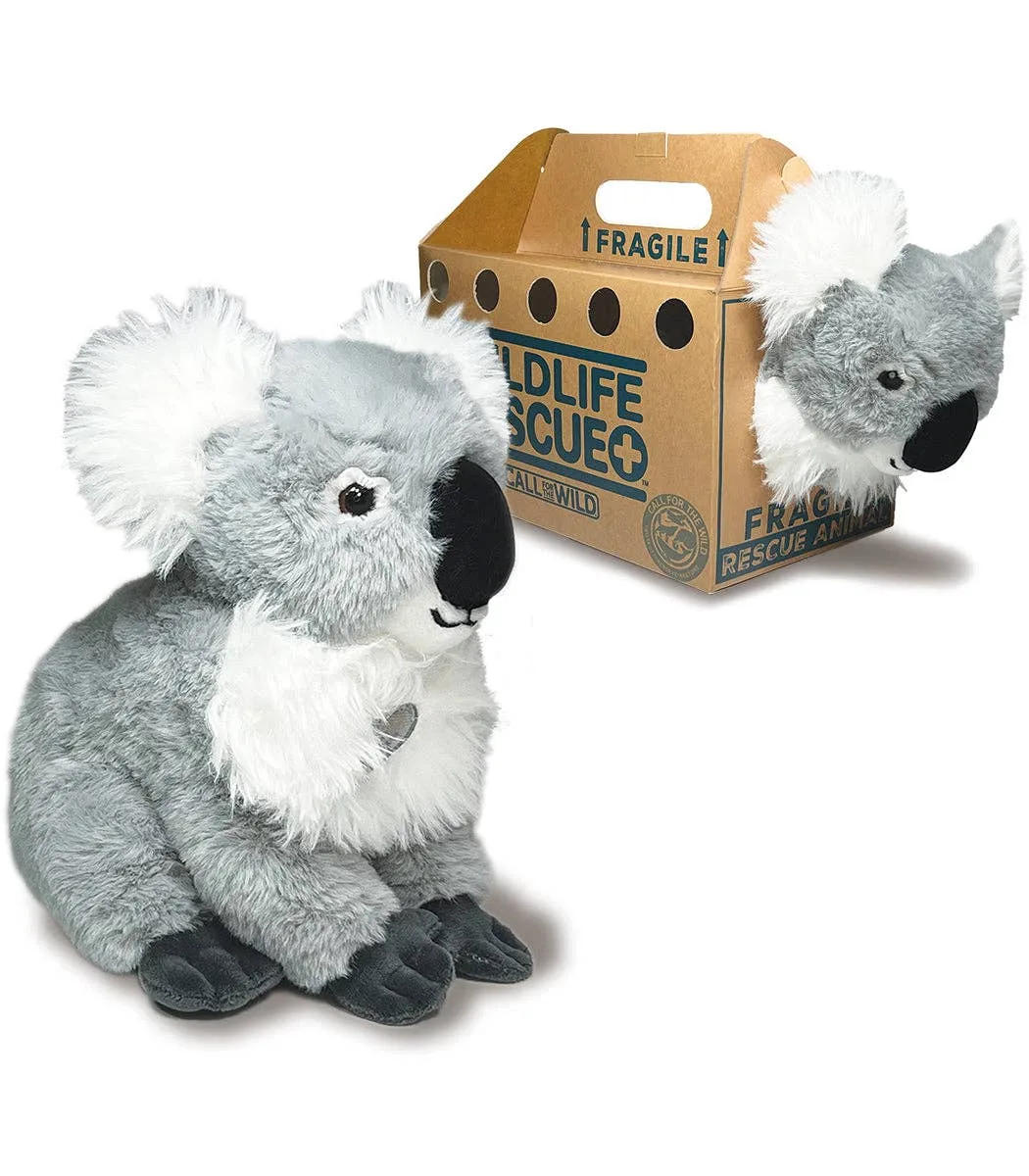 Rescue Koala