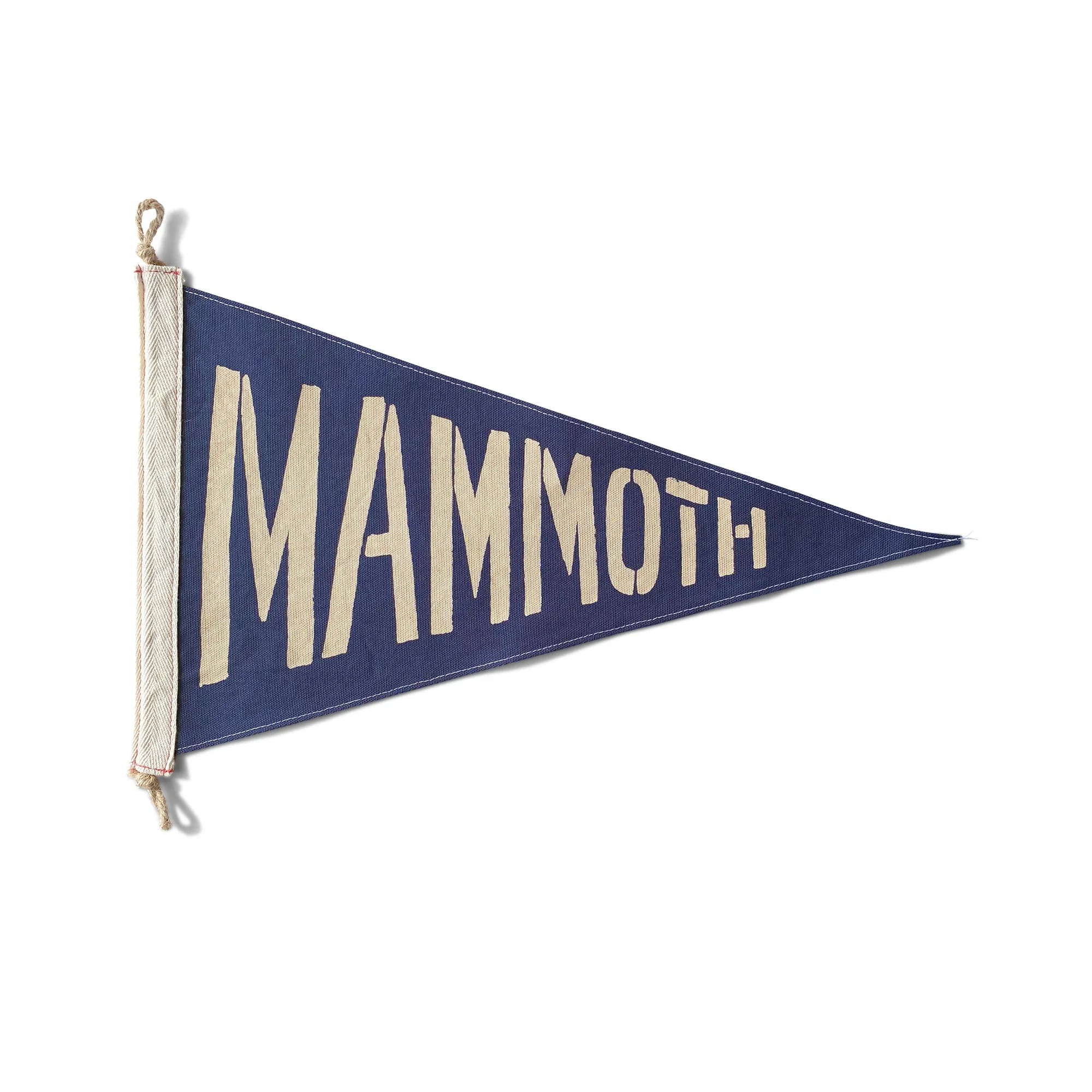 What Makes a Mammoth Flag Unique for Surfers