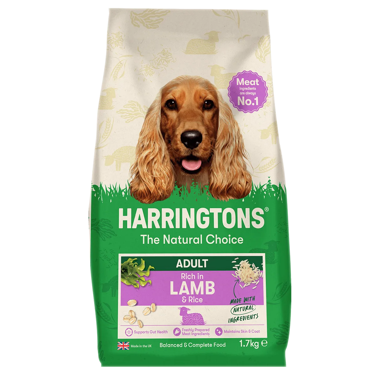 Why Won't My Adult Dog Eat Lamb & Rice Dry Food?