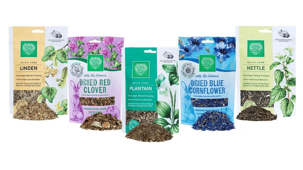 How to Introduce Forage Herbs to Your Small Pet's Diet