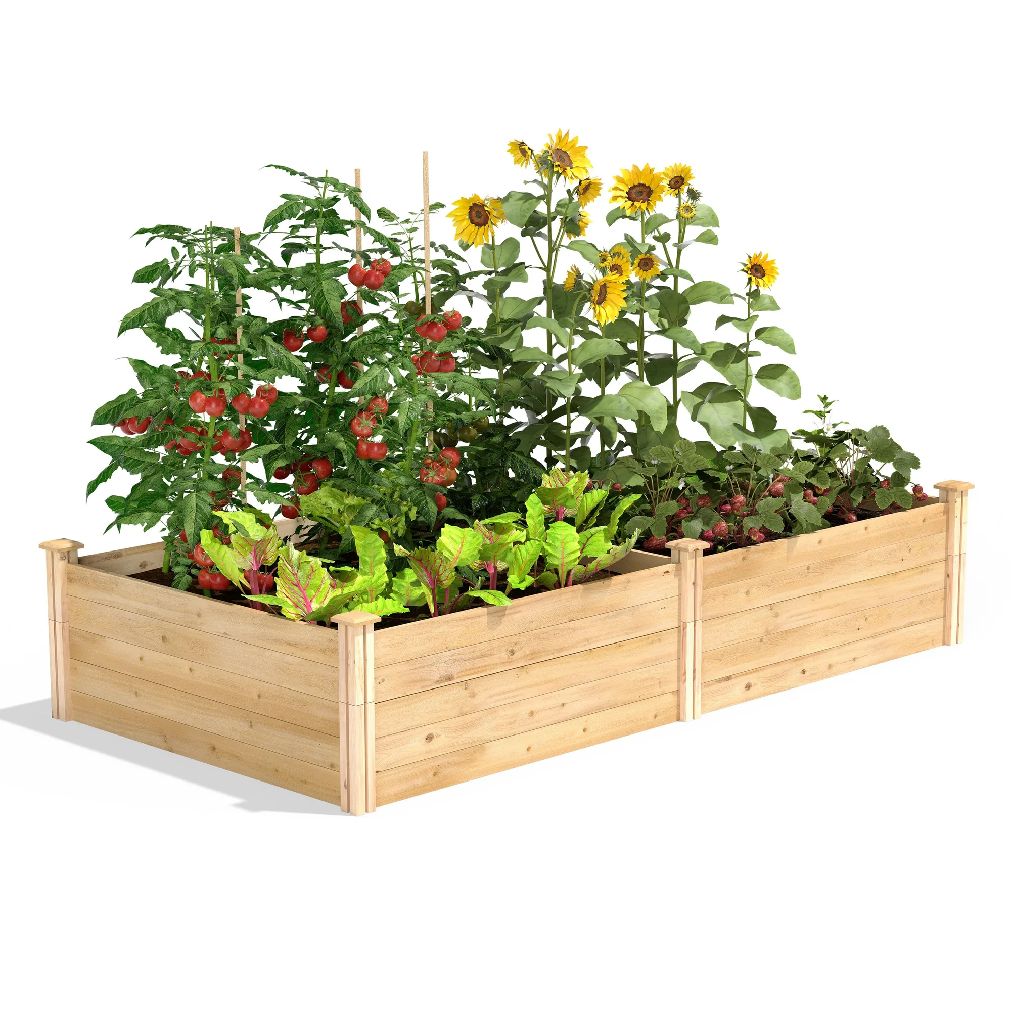 Cama de jardín elevada de cedro premium 4 pies x 8 pies x 17,5 pulg (grosor 3/4 pulg) RC6S6T35B