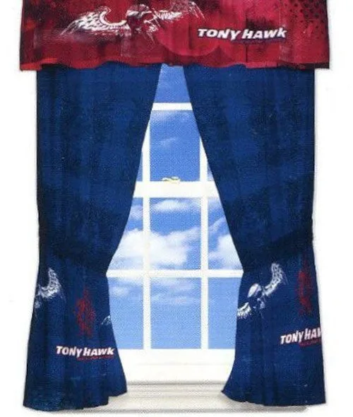 Tony Hawk Window Panels