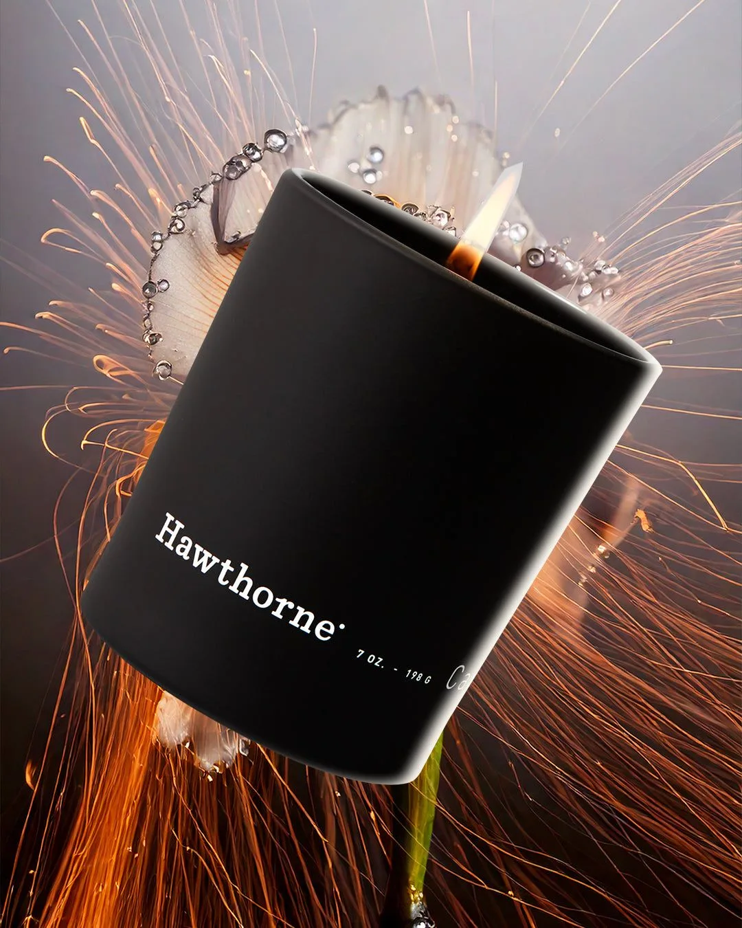 Porovnání vůně Desert Runway vs Botanic Blur Candle