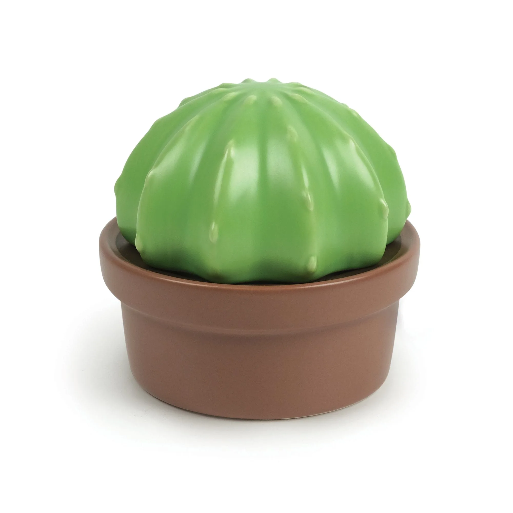 HOUSE PLANT