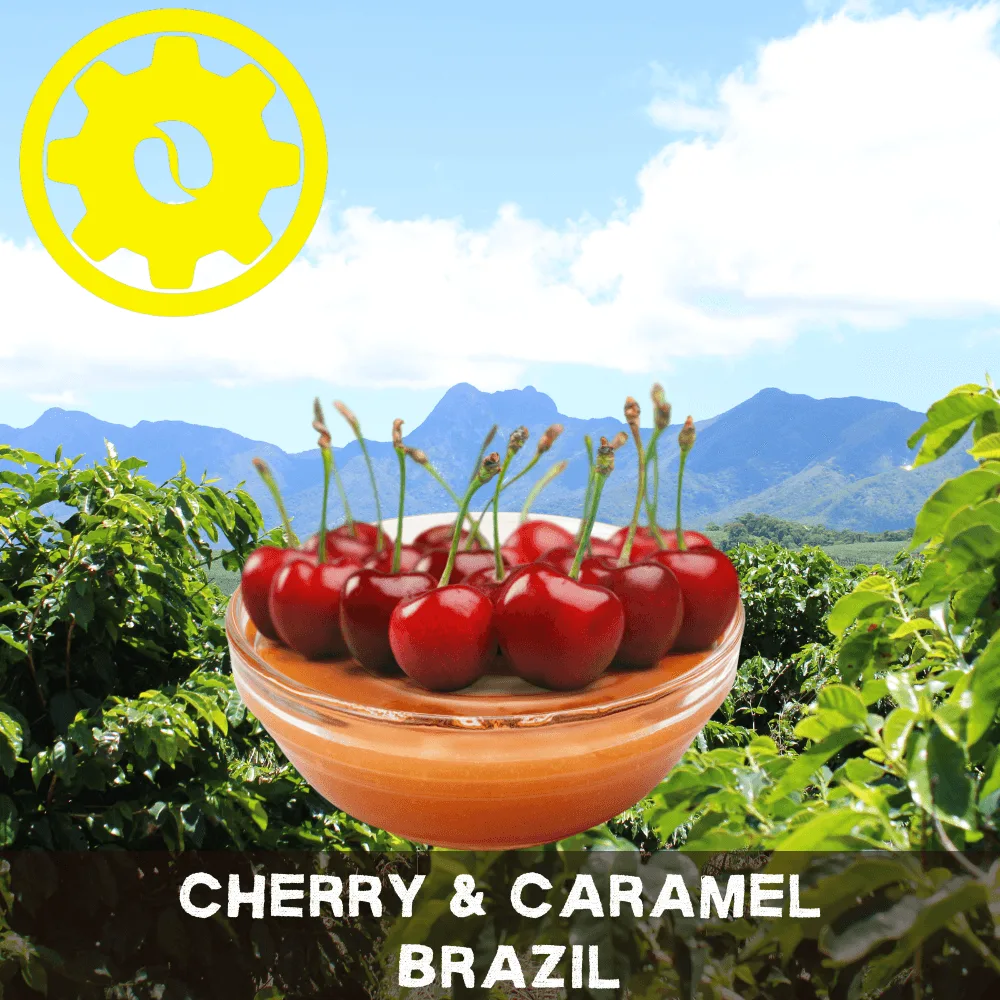 Cherry & Caramel Brazil Coffee Buying Guide