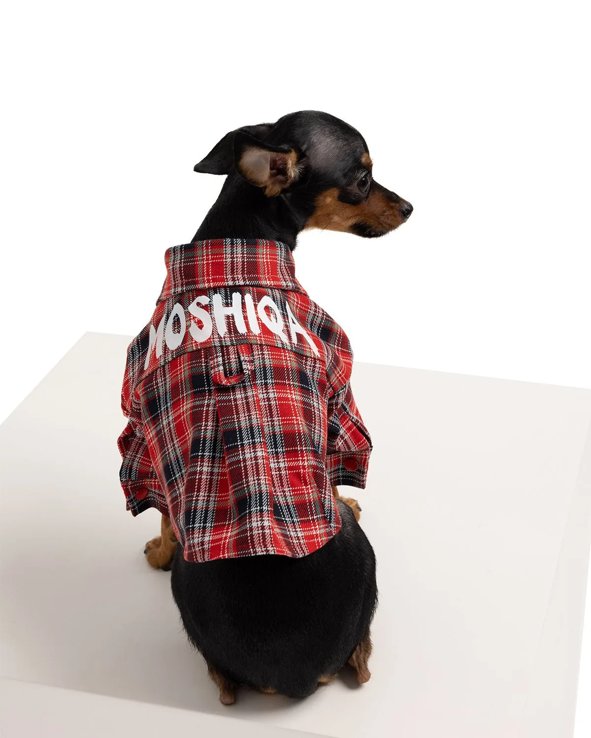 Moshiqa Johnny Dog Shirt Review: Timeless Style Meets Everyday Comfort