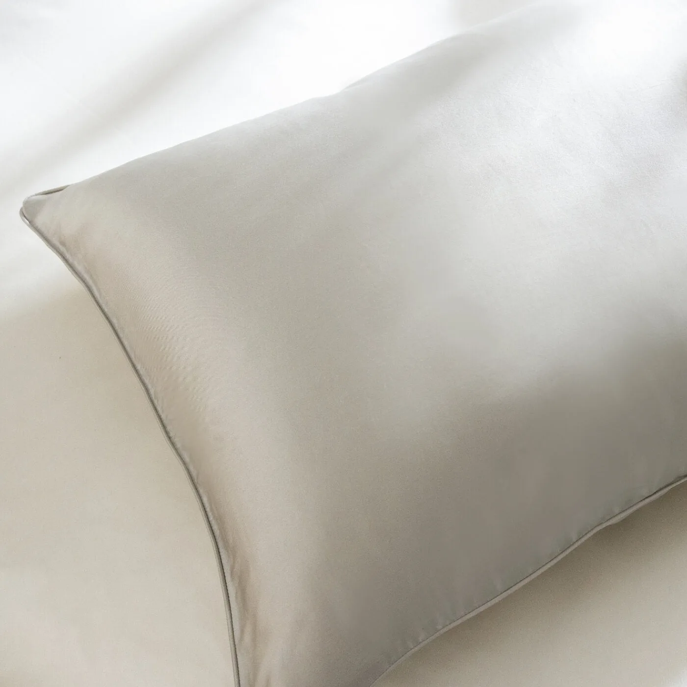 Antique Silver Mulberry Silk Pillowcases