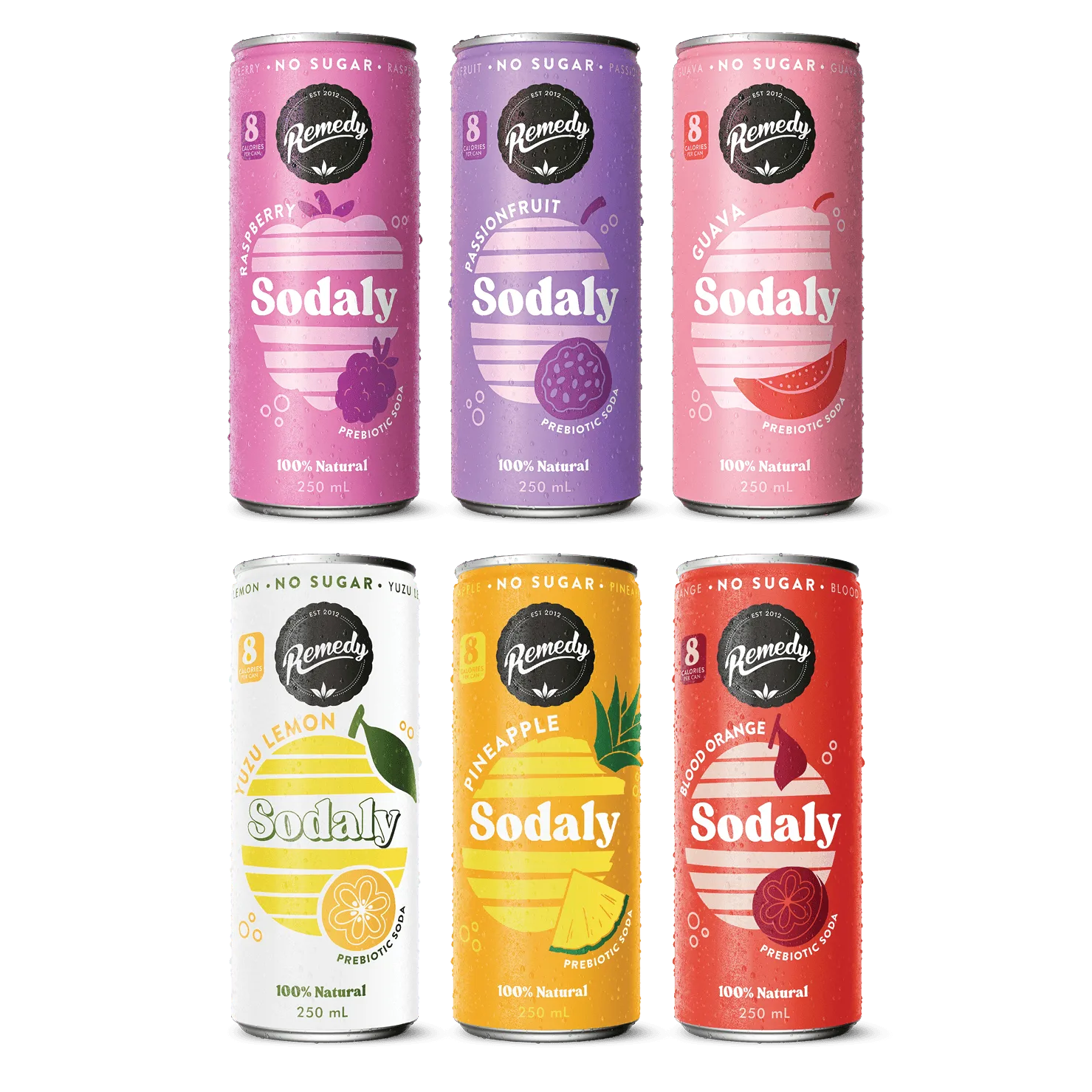 How to Store Remedy Sodaly for Maximum Fizz: Tips for Keeping It Fresh