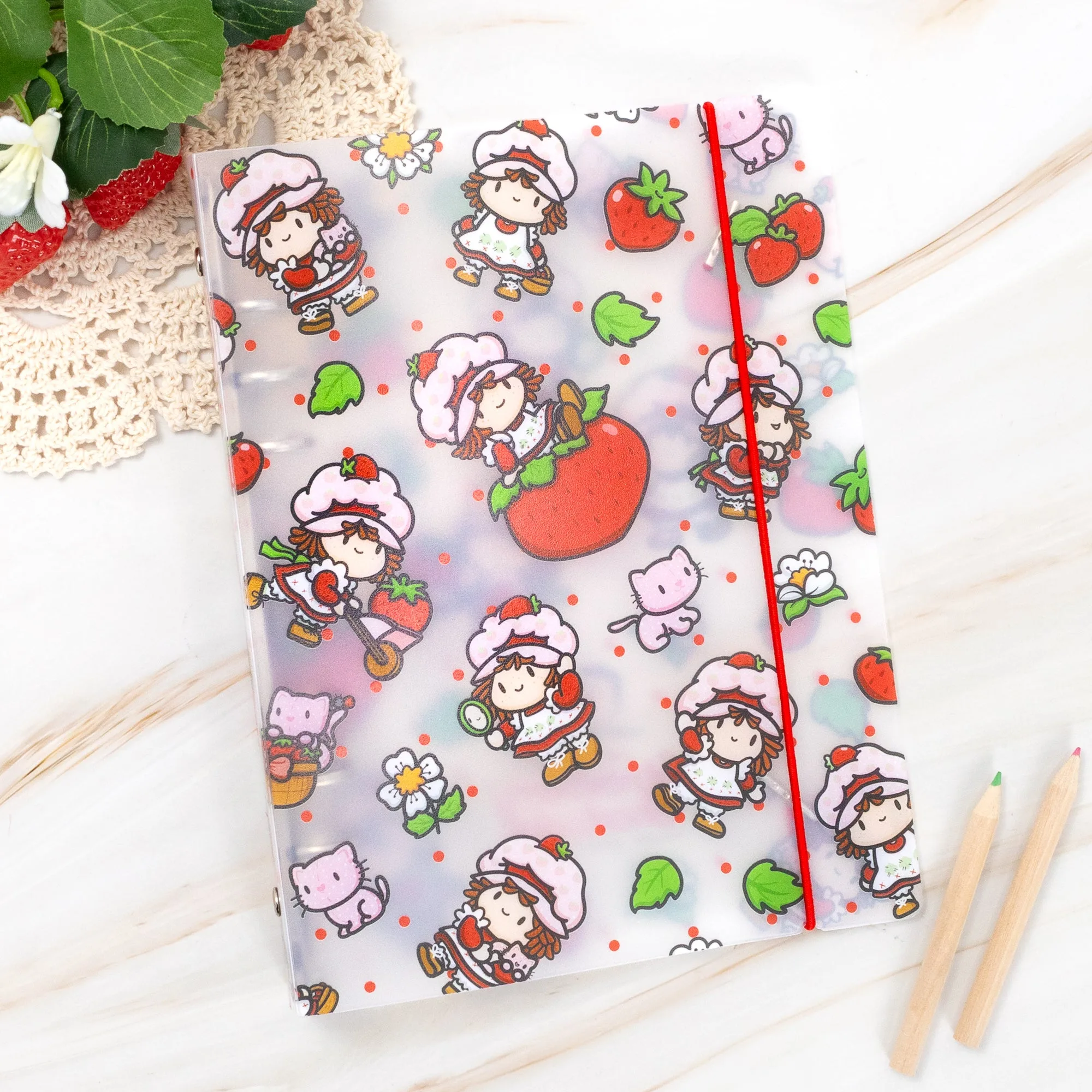 Strawberry Shortcake Sticker Storage Binder
