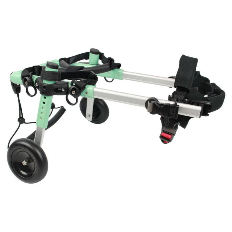 Dog Wheelchair Myths: What's True for Your Pet