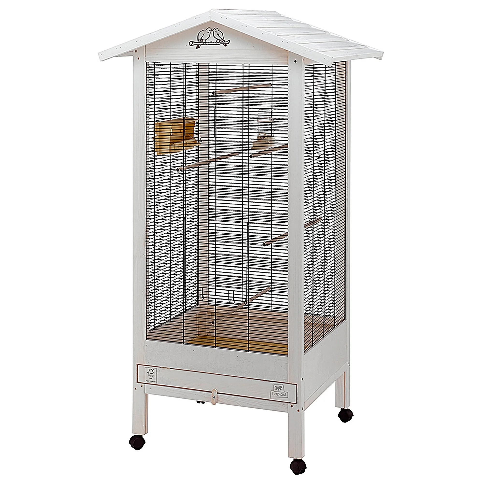 How to Set Up Your First Indoor Aviary for Birds