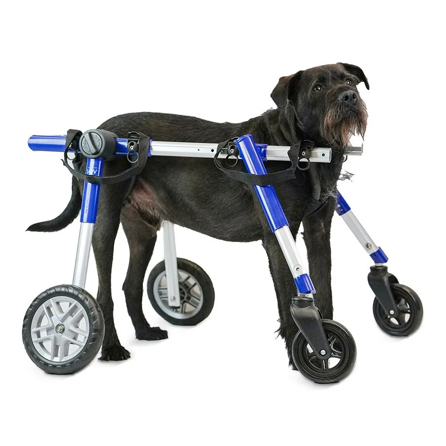 Průvodce nastavením Walkin' Wheels 4-Wheel Medium