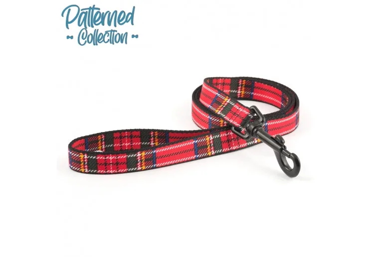 Utiliser une laisse tartan pour chien lors des promenades quotidiennes