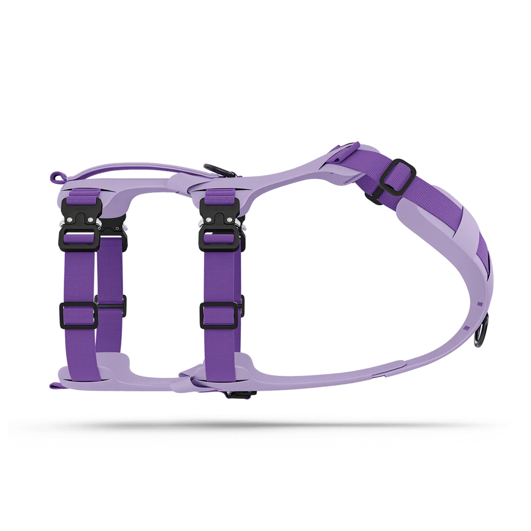 Lander Harness Fit Guide for Active Dogs