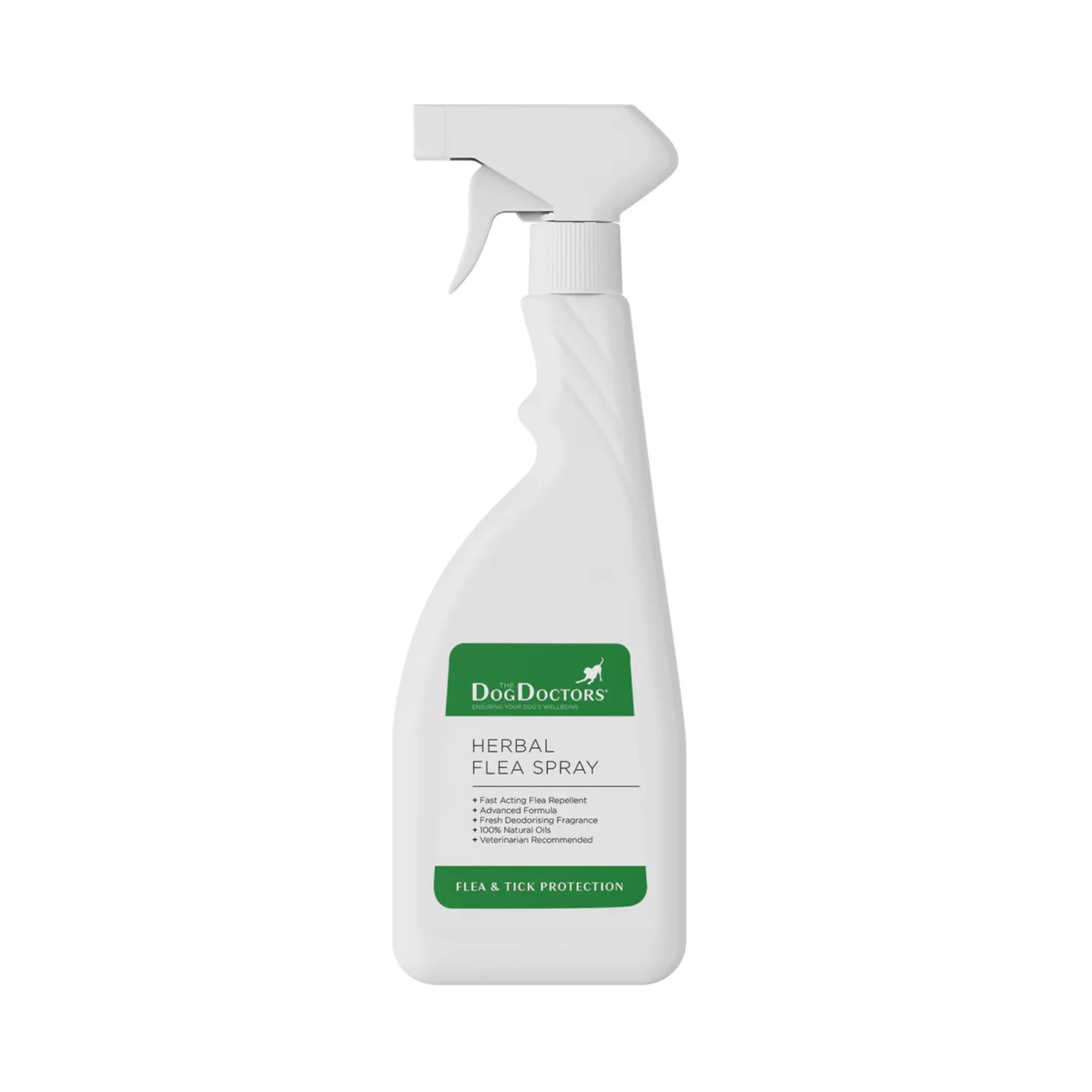 Perché il mio cane si gratta? Soluzioni con spray antipulci