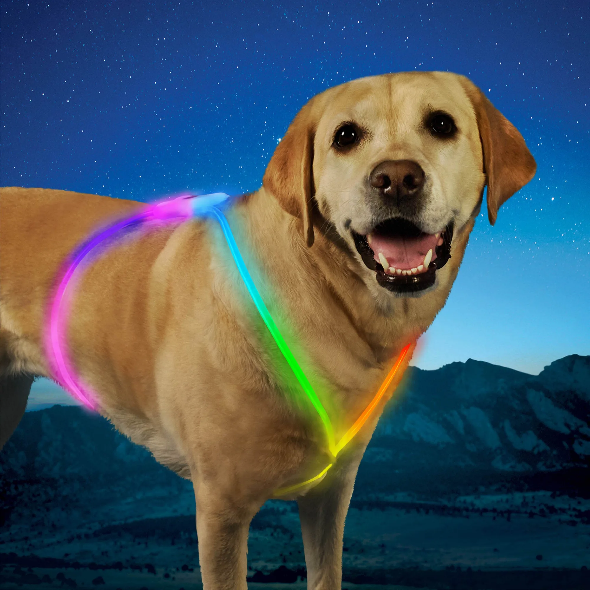 NiteHowl™ wiederaufladbarer Lite-Anzug - Disc-O Select™