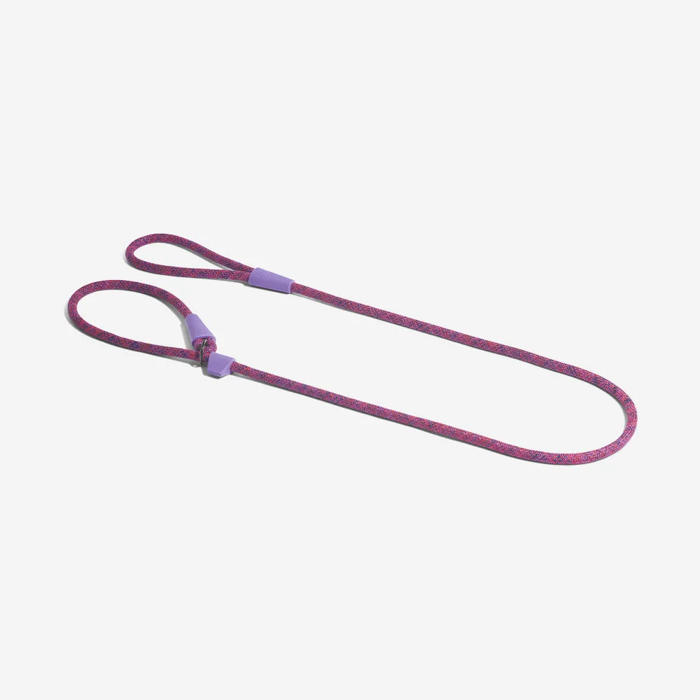 AirTag Holder for Dog Collars: Setup, Fit and Everyday Use
