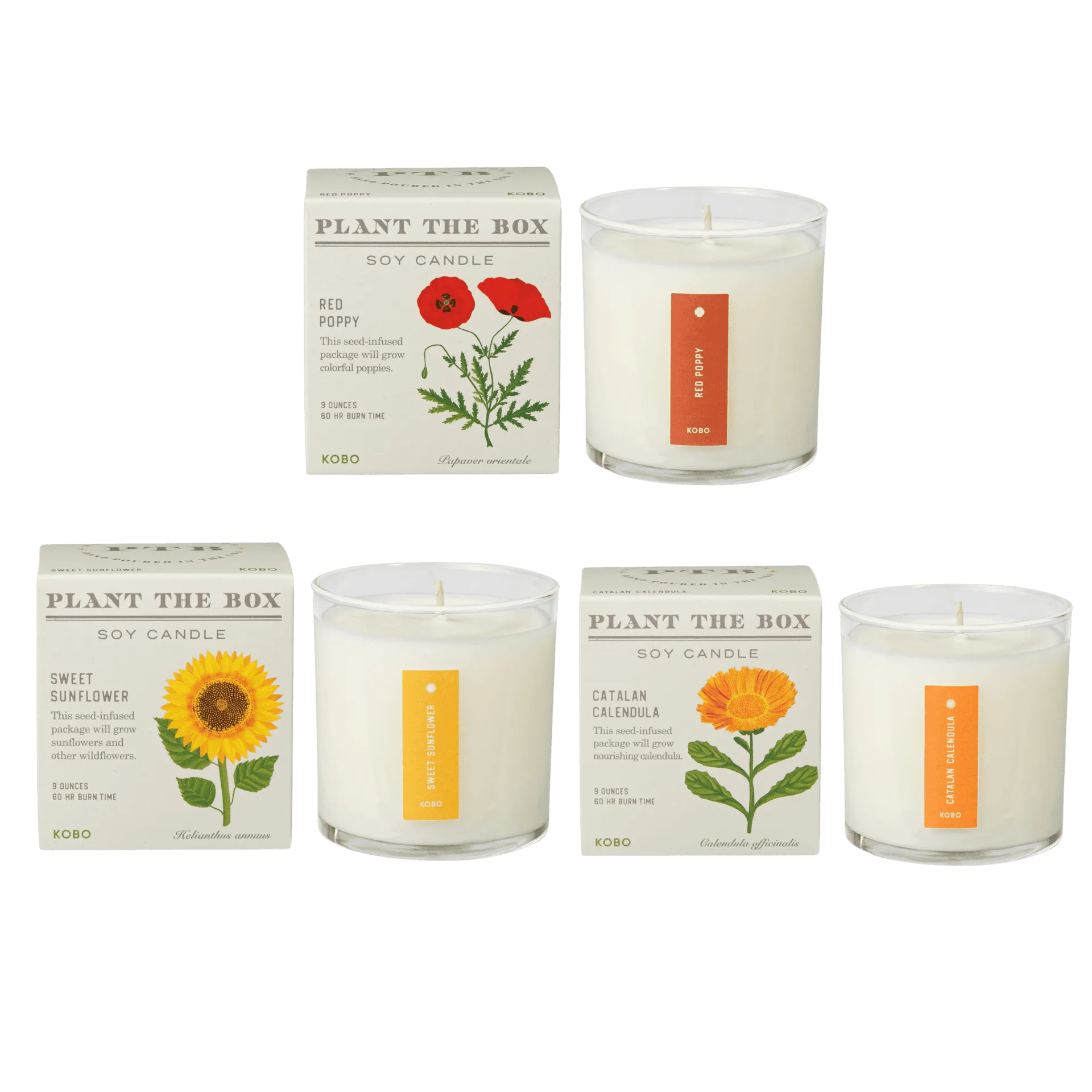 Lush Floral Plant the Box Candle Trio