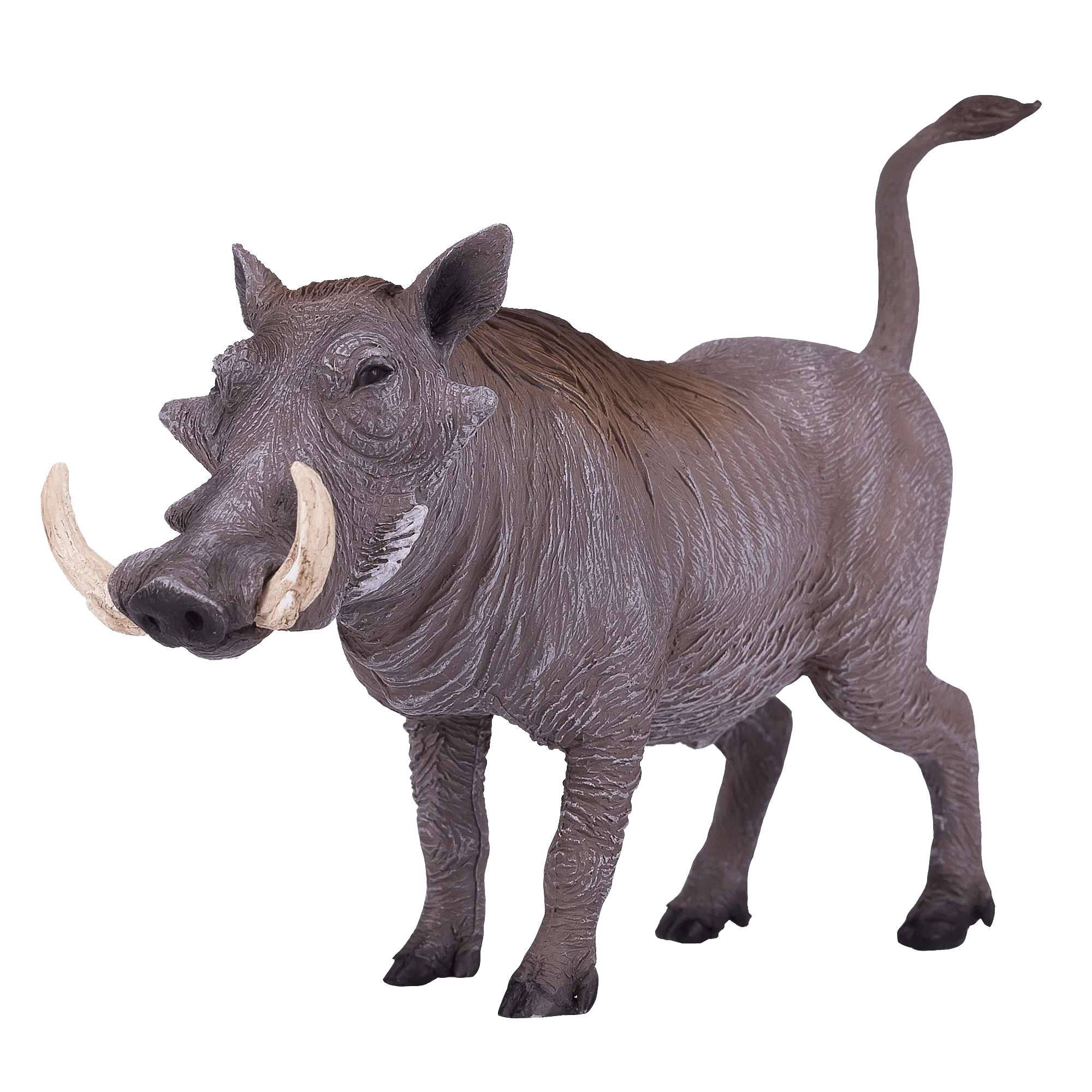 Warthog