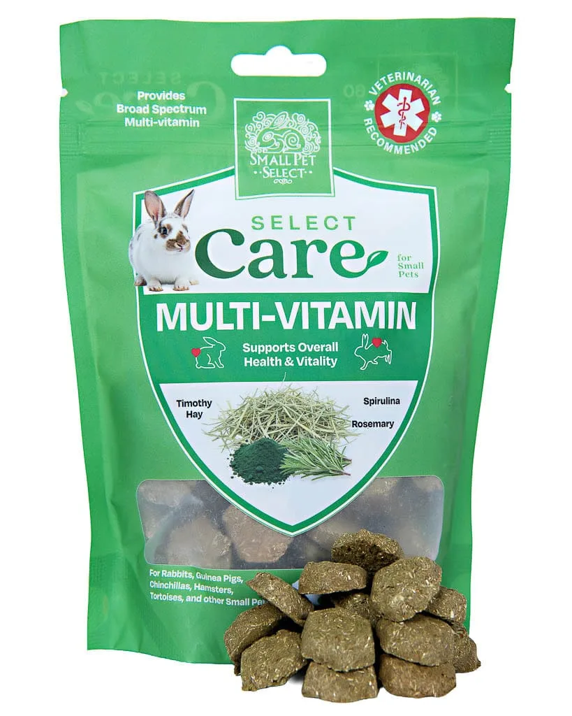 Multivitamínico vs. salud digestiva para mascotas pequeñas