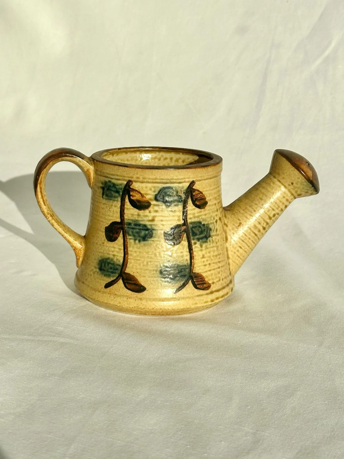 Deep Glazed Ceramic Bowl vs Handmade Ceramic Watering Can: Which Ceramic Piece Suits Your Home?