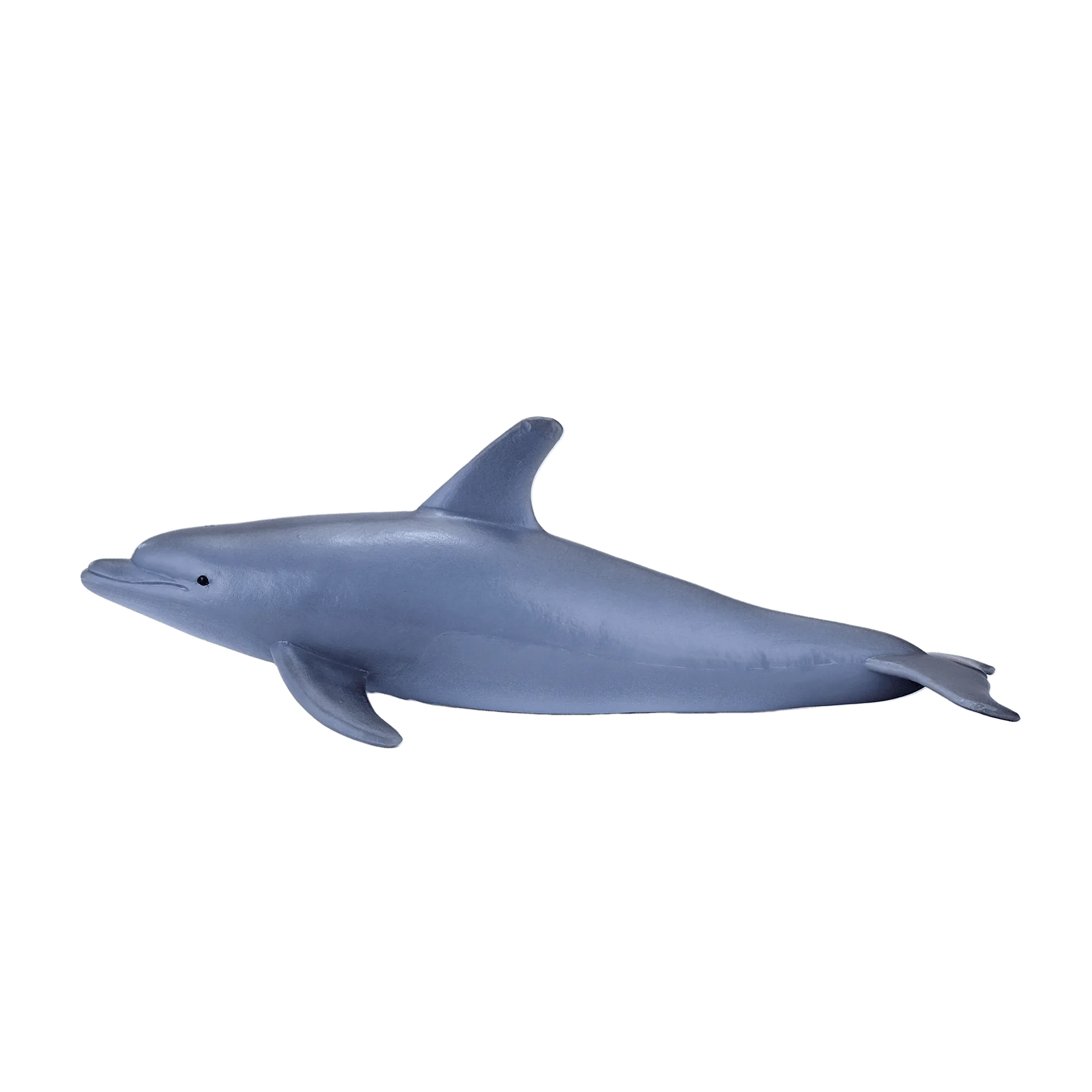 Blue Tang vs Bottle Nose Dolphin Figure: Ocean Models Compared