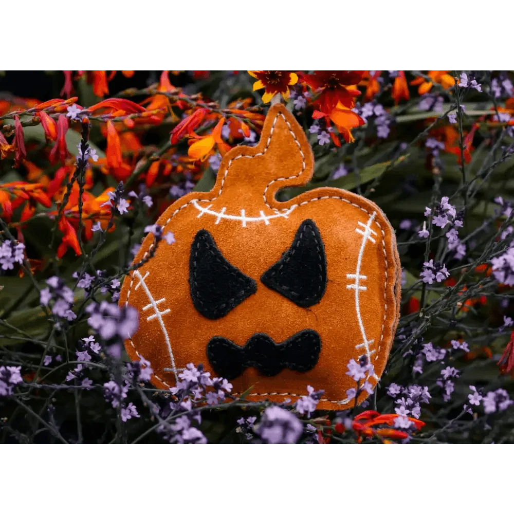 How to Choose a Safe Halloween Dog Toy