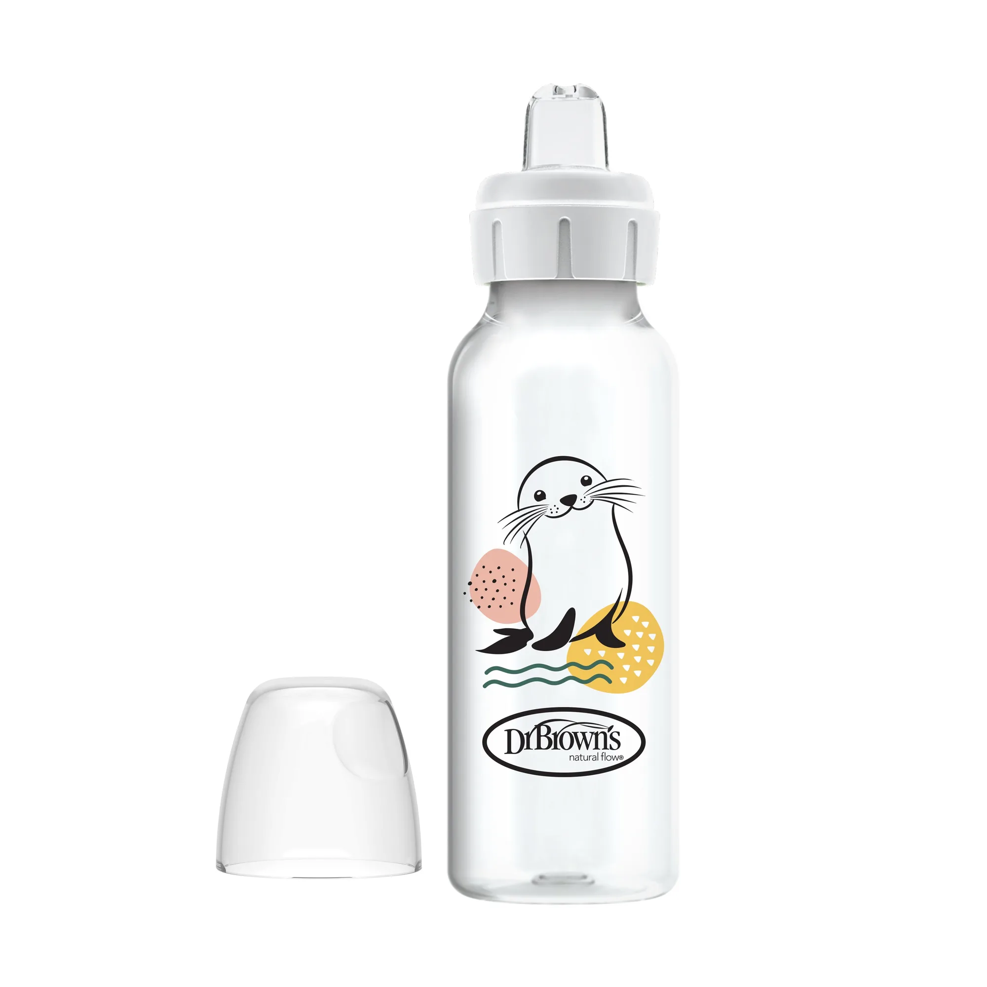 Dr Brown's Sippy Bottle vs Sippy Cup: Which for 6+ Months?