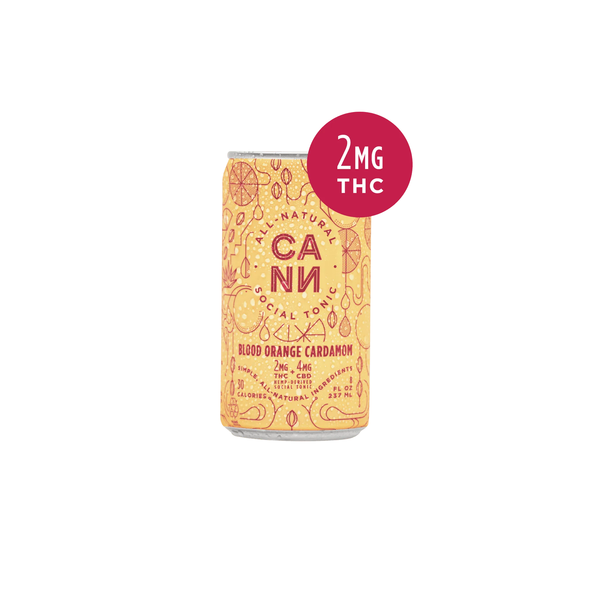 Roadie vs Cann 6-Pack: Which Portable Social Tonic Wins for On-the-Go Drinking?