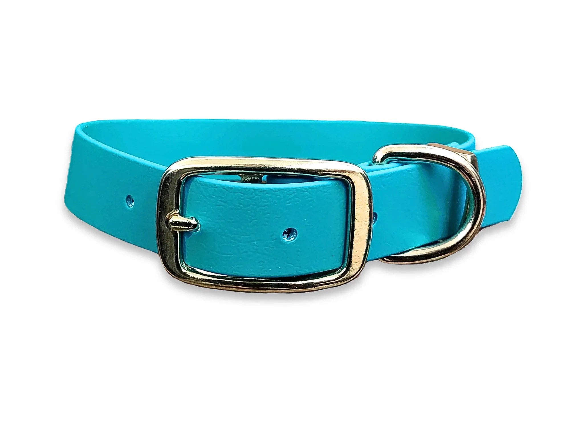 Collare per cani con fibbia in biothane verde acqua impermeabile