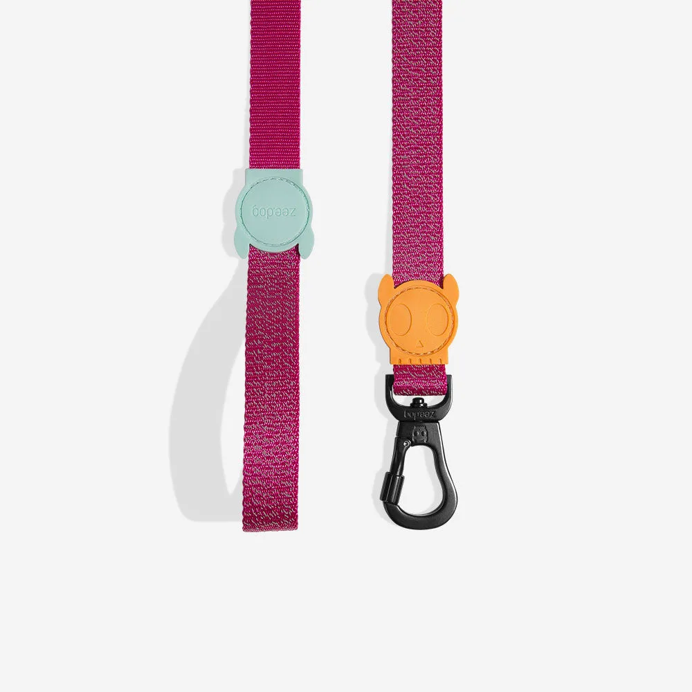 How to Clean a Classic Dog Leash Properly