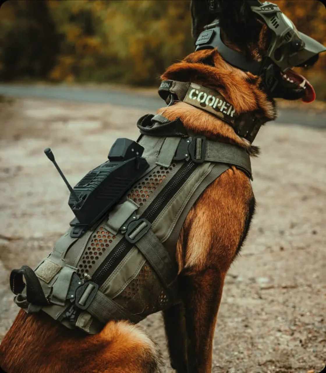 DarkFighter Pocket K9 Camera