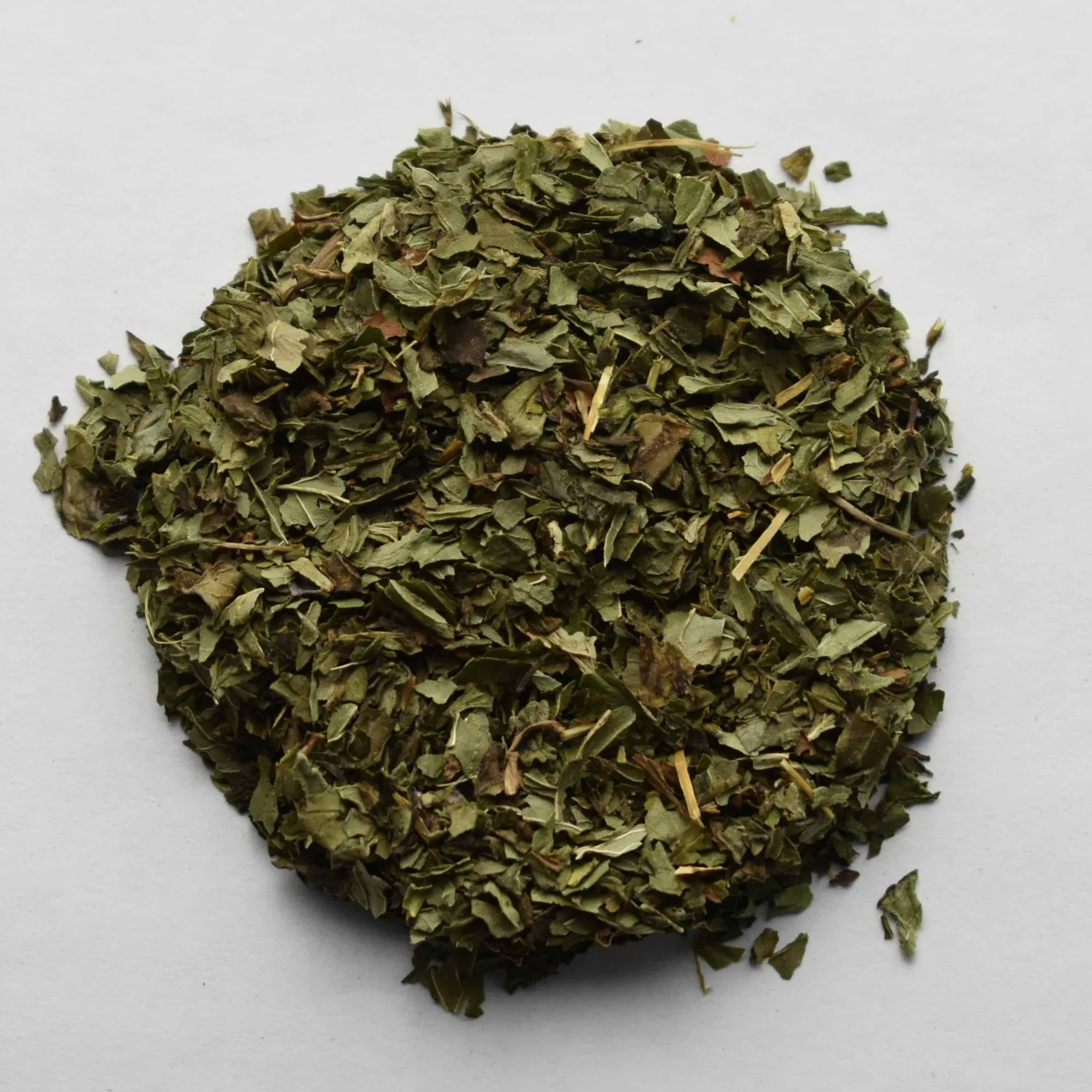 Pfefferminze, Bio