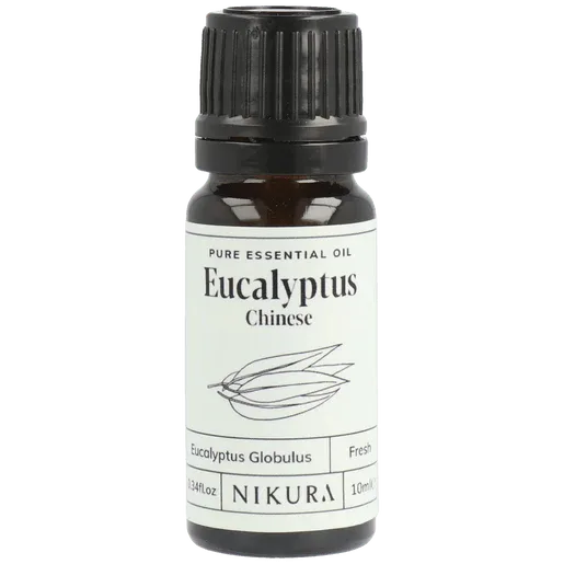 Eucalyptus Essential Oil Uses: A Practical Guide for Beginners