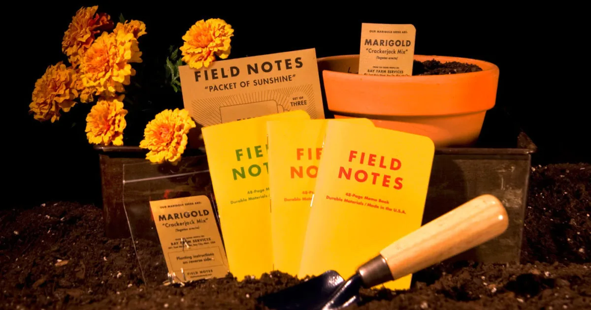 Best Memo Books for Students: A Comprehensive Buying Guide